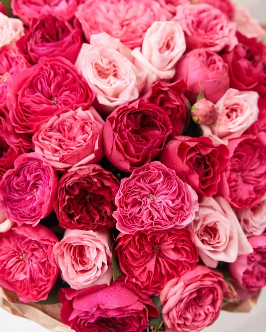 Crimson Majesty — Peony Rose Mono-Bouquet