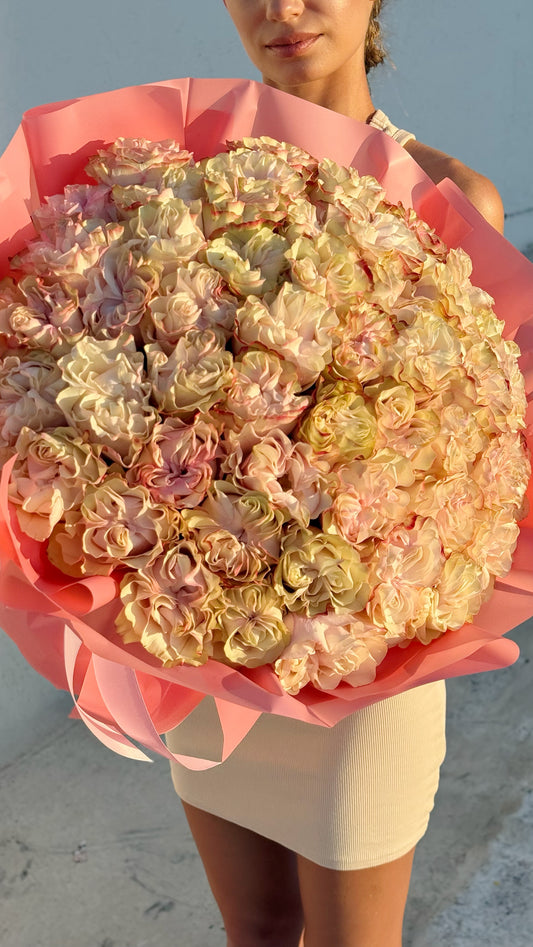 50 Premium Peach & Blush Roses