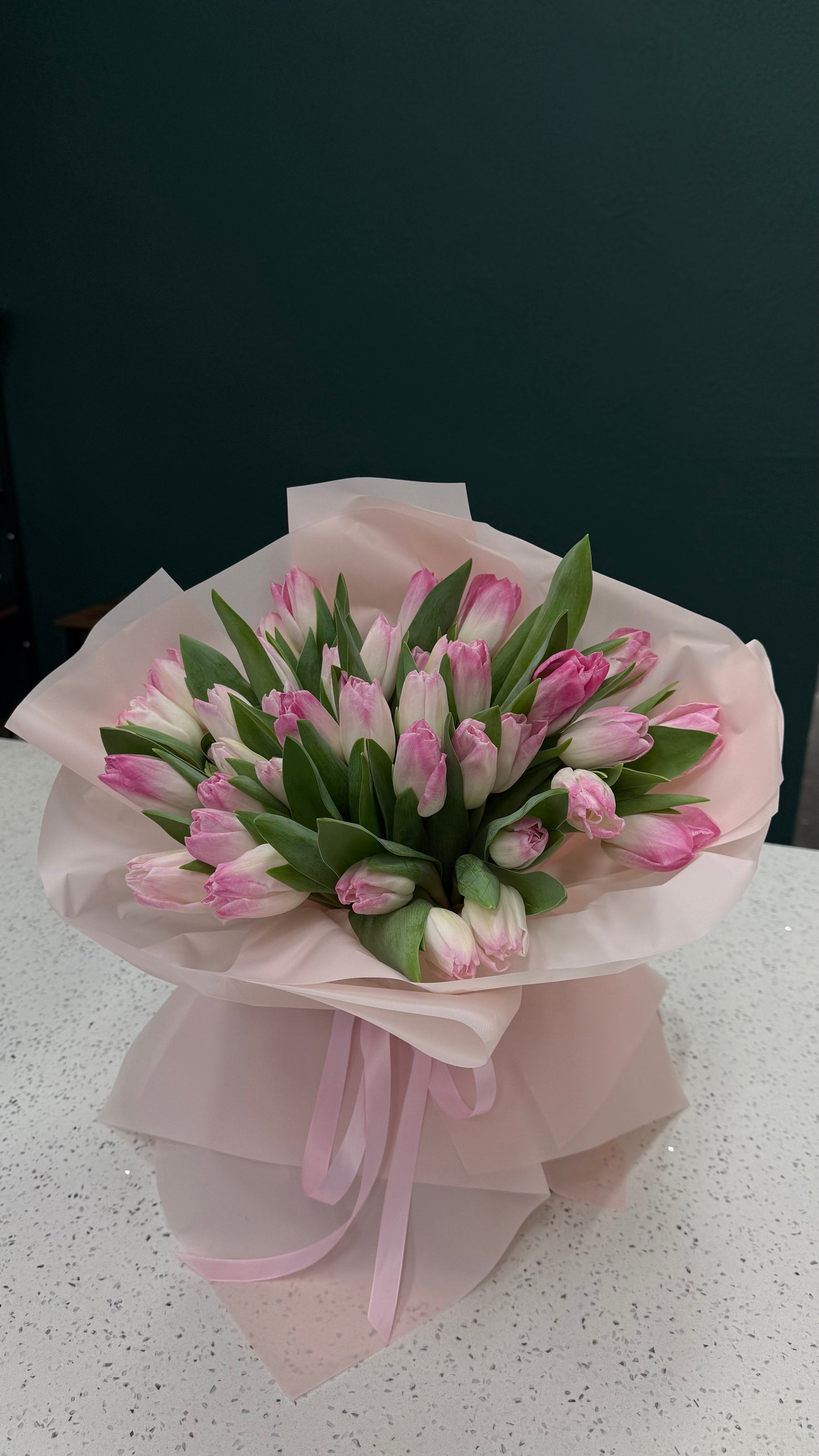 Pink Sorbet | Fresh Bicolor Tulip Hand-Tied Bouquet