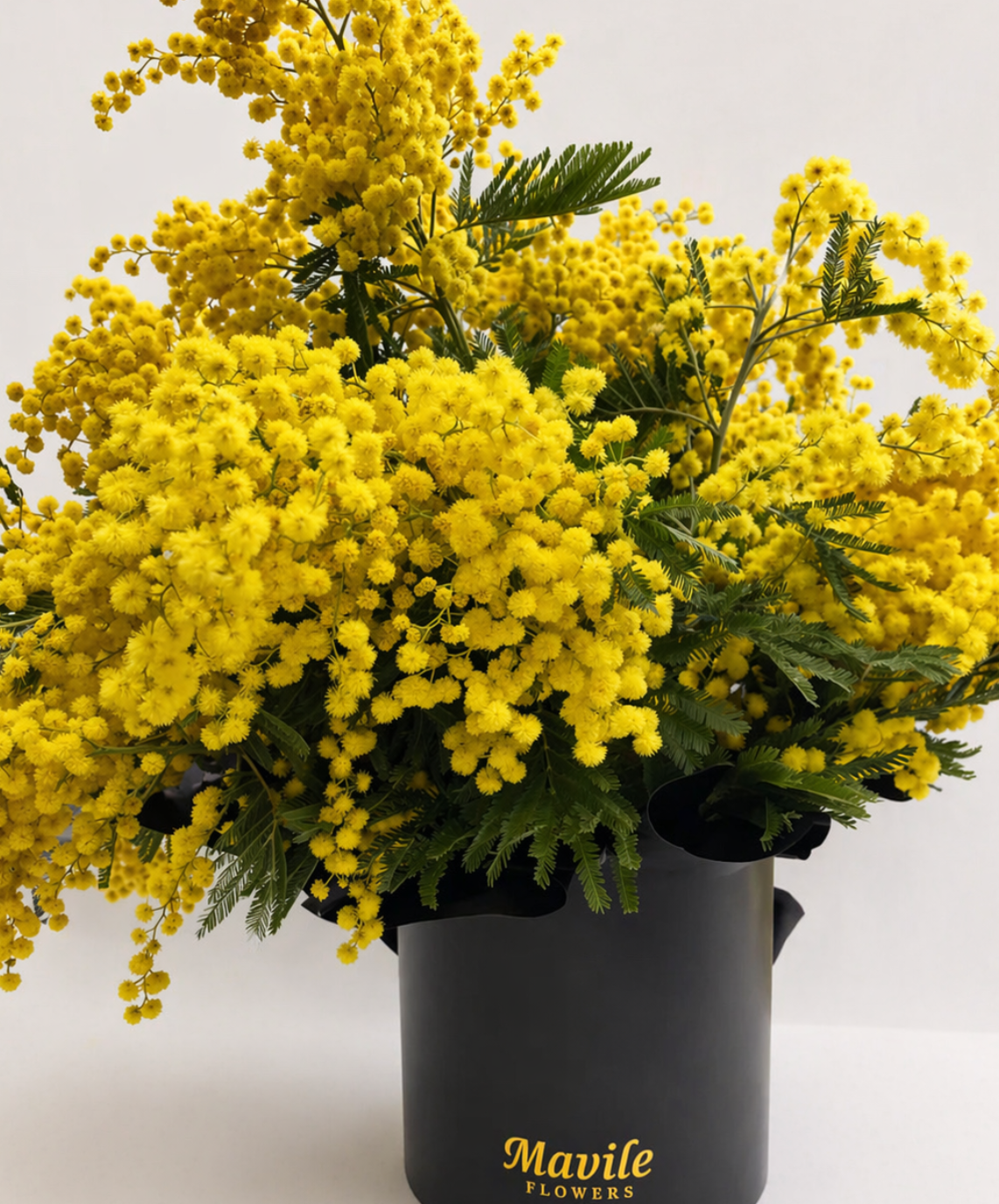 Sunshine Whisper: Fresh Italian Mimosa Vase Arrangement