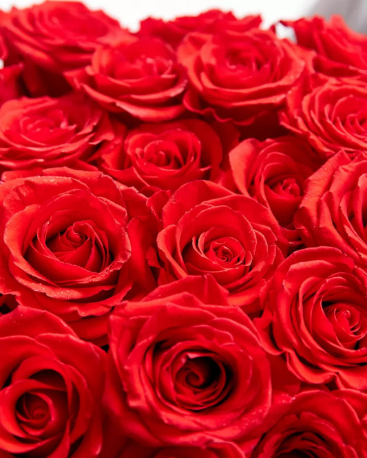 25 Premium Red Roses Bouquet