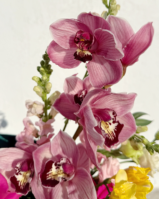 Miami Heat Luxury Box: Exotic Roses & Orchids Arrangement