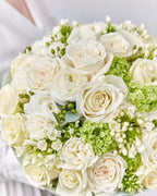 “Pearl Elegance” Collection