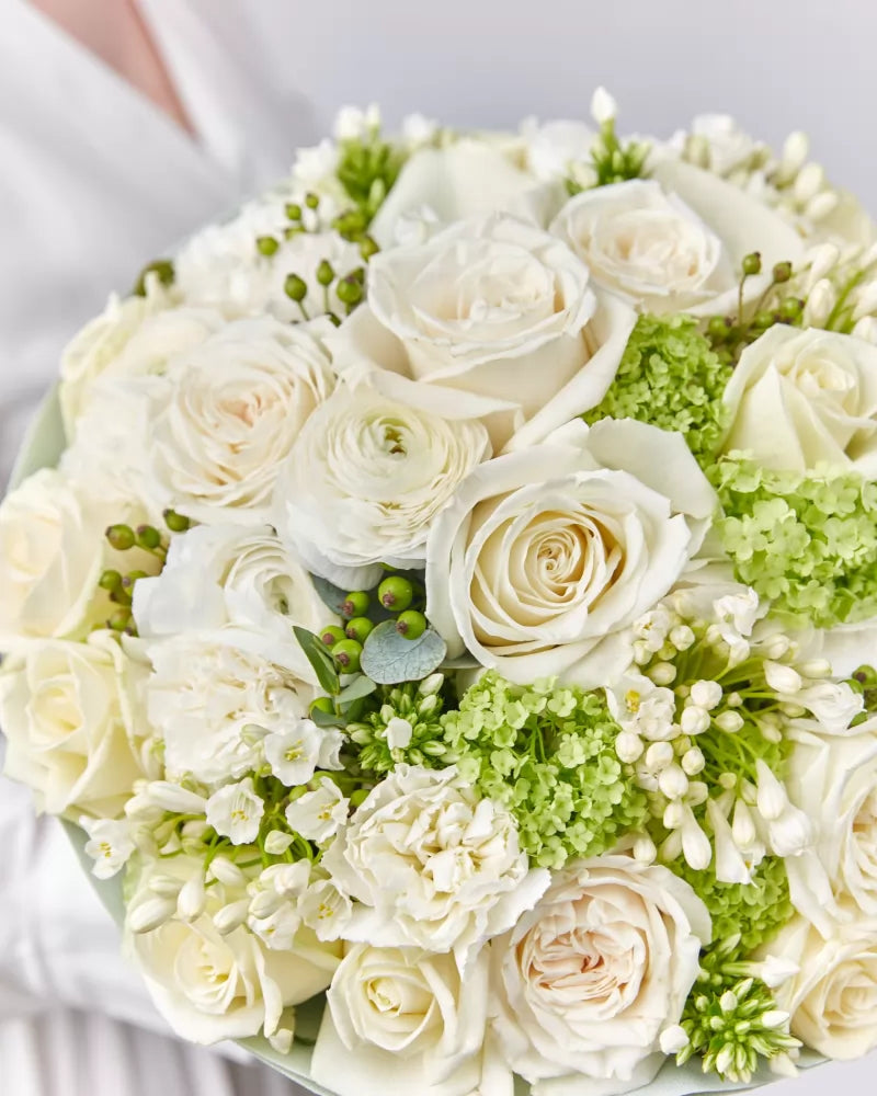 “Pearl Elegance” Collection