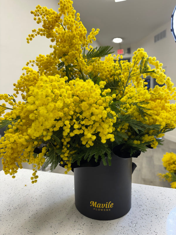 Sunshine Whisper: Fresh Italian Mimosa Vase Arrangement