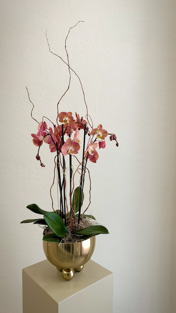 Dusty Rose Phalaenopsis Orchid with Gold Heart