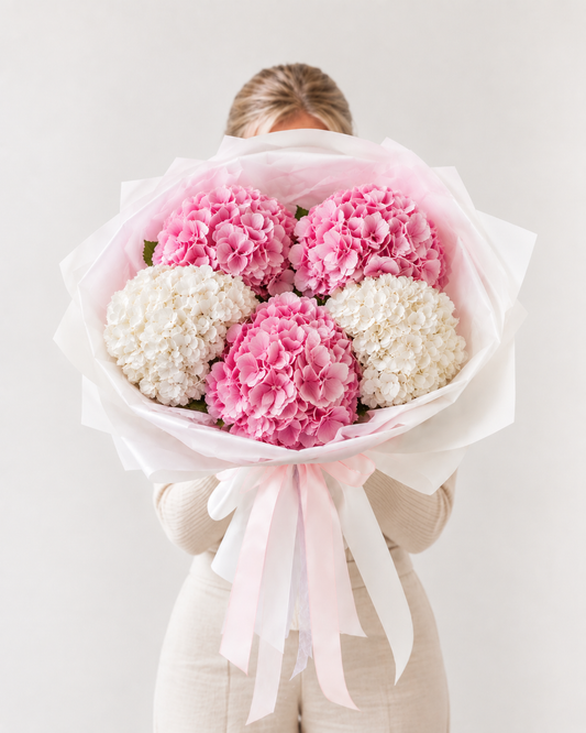 Hydrangea Blush  5