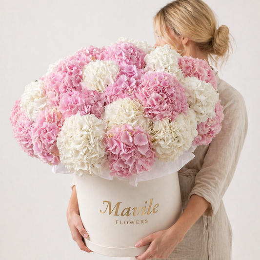 Blush Hydrangea Floral Box — Blush Cloud