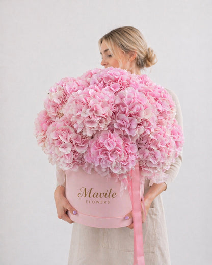 Blush Harmony Hydrangea Box