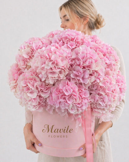 Blush Harmony Hydrangea Box