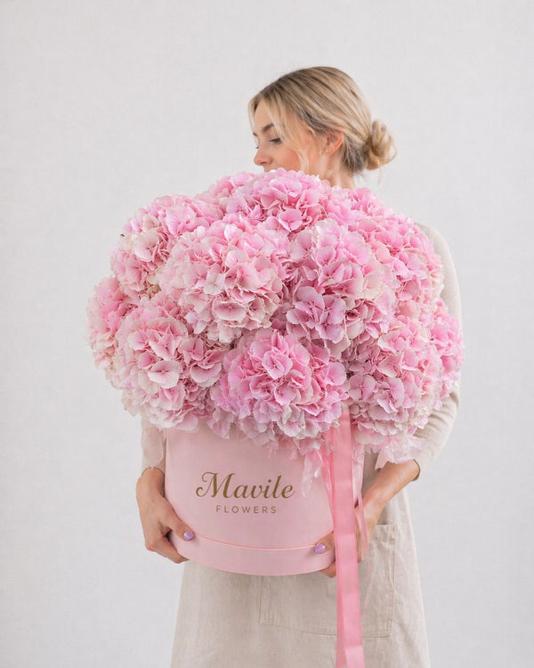 Blush Harmony Hydrangea Box