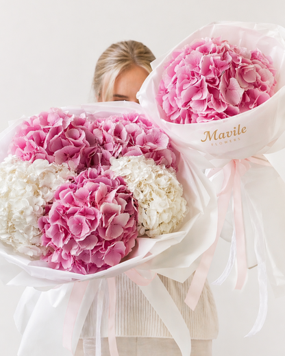 Hydrangea Blush Duo 5