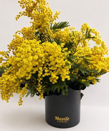 Sunshine Whisper: Fresh Italian Mimosa Vase Arrangement