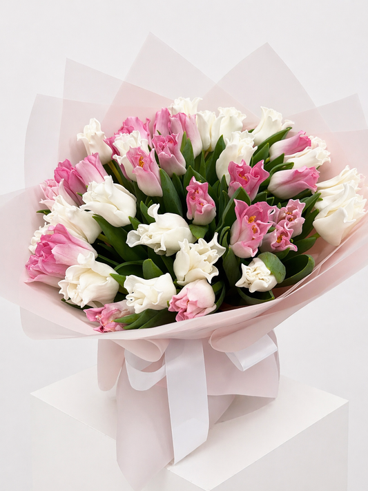 Pink White Bicolor Tulip Bouquet — Pink Sorbet