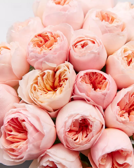 The Juliet’s Dream — Luxury Peony-Shaped Rose Bouquet
