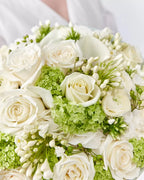 “Pearl Elegance” Collection