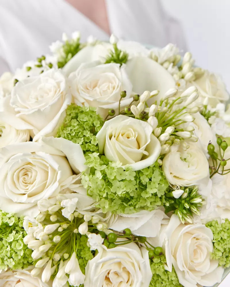 “Pearl Elegance” Collection