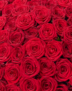 Heart-Shaped 101 Red Roses – Luxury Love Arrangement