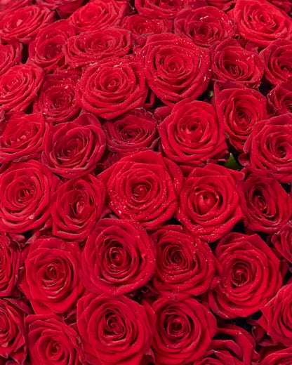100 Premium Red Roses Bouquet