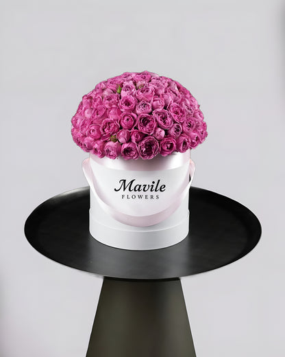 Pink Peony Roses in White Box